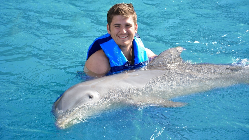 Cozumel Dolphin Encounter with Lunch