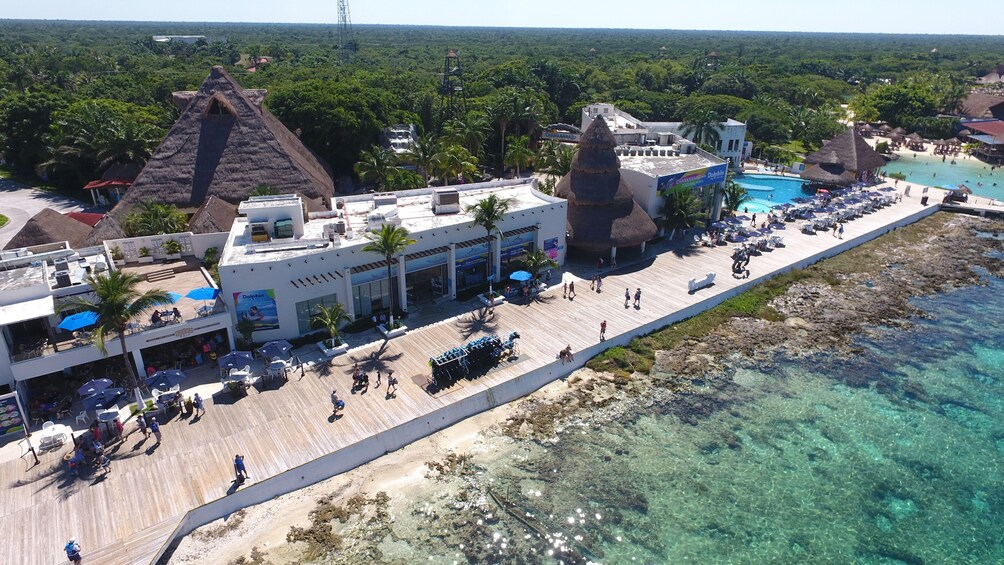 Cozumel Dolphin Encounter with Lunch