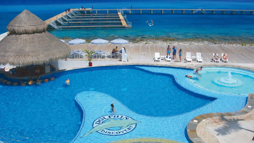 Pool are of Dolphin Discovery Mexico