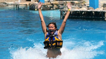 Small-Group Dolphin Royal Swim at Aquaventuras Water Park