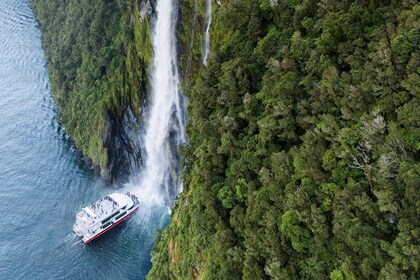Full-Day Milford Sound Tour with Cruise & Scenic Flight