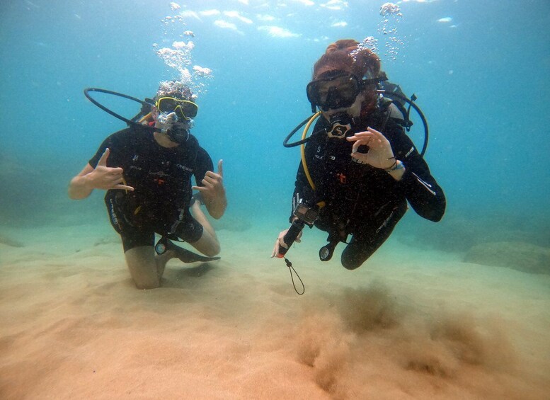 Picture 1 for Activity Oahu: Scuba Diving Lesson for Beginners