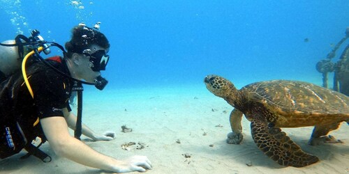 Oahu: lección de buceo para principiantes