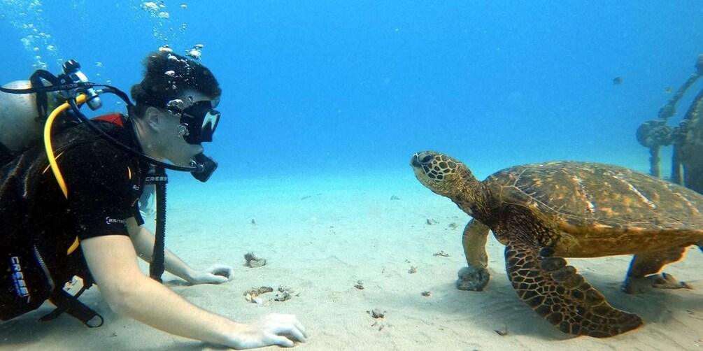 Oahu: Scuba Diving Lesson for Beginners