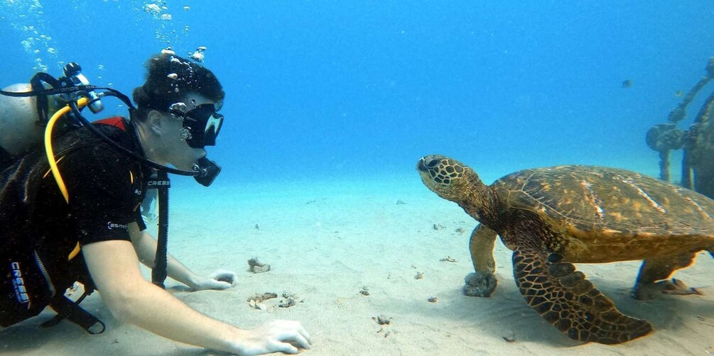 Oahu: Scuba Diving Lesson for Beginners