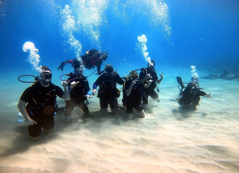Picture 3 for Activity Oahu: Scuba Diving Lesson for Beginners