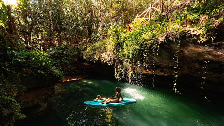 Semi-Private 3-Waterfall Cenotes Experience