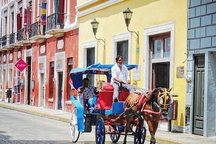 Hafl-Day Tour to Merida & its Traditional Gastronomy