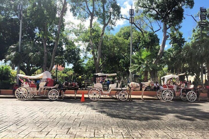 Private Tour to Merida & its Traditional Gastronomy