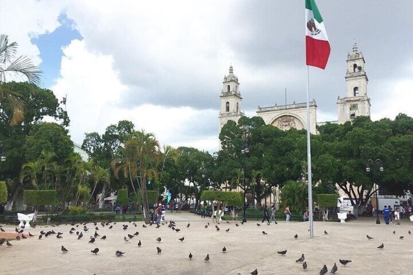 Private Tour to Merida & its Traditional Gastronomy