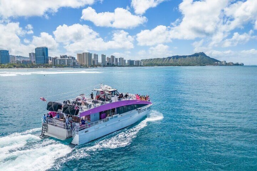 Waikiki Swim & Sail (Wahine Koa)