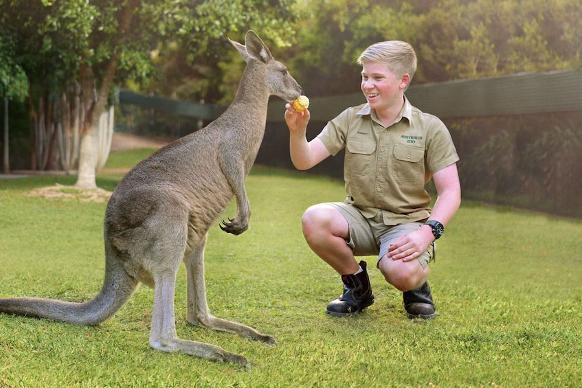 Picture 3 for Activity Gold Coast: Australia Zoo Ticket and Roundtrip Transfer