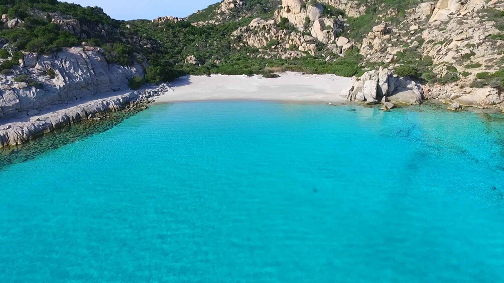 Picture 4 for Activity From Palau or La Maddalena: Maddalena Archipelago Boat Tour