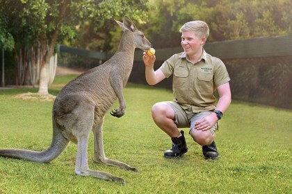 ブリスベン発：オーストラリア動物園入場券と往復送迎サービス