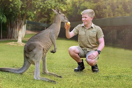 From Brisbane: Australia Zoo Ticket and Return Transfer