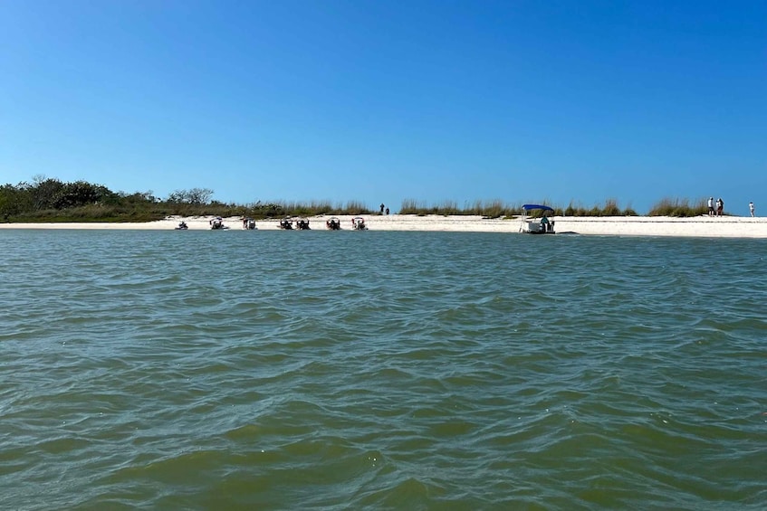 Picture 11 for Activity Naples, FL: Manatee, Dolphin, 10,000 Islands Beach Eco Tour