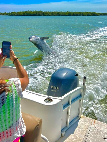 Picture 1 for Activity Naples, FL: Manatee, Dolphin, 10,000 Islands Beach Eco Tour