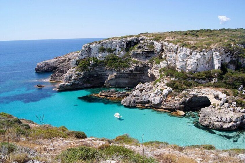 Private Sailing in Palma de Mallorca