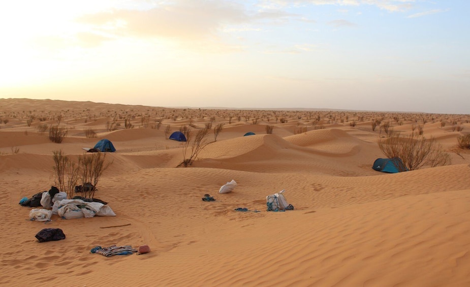 Picture 8 for Activity Sahara Desert: 2-Day Tour with Food and a Night in a Tent