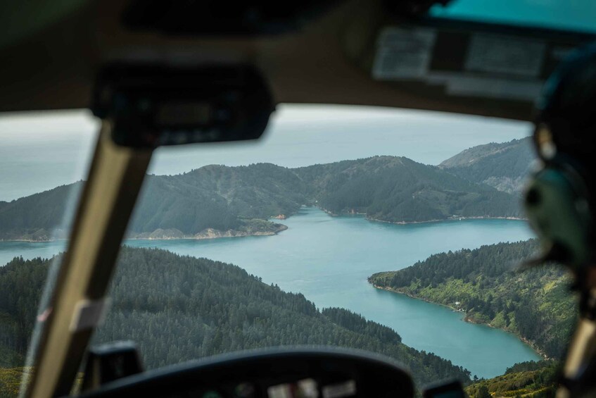 Picture 9 for Activity From Nelson: Marlborough Sounds Scenic Helicopter Flight