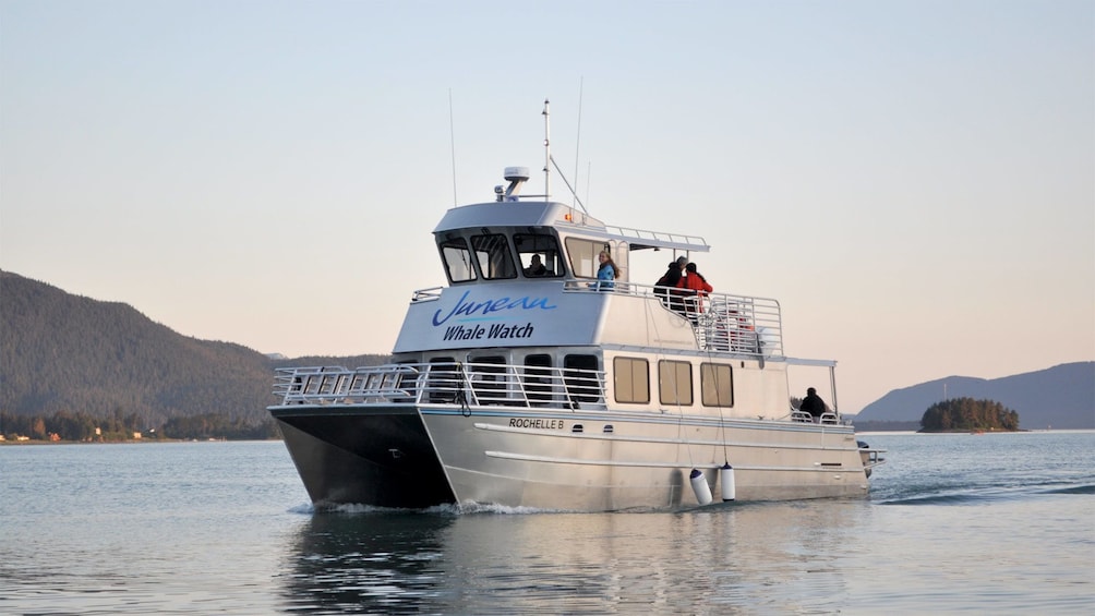 Juneau Whale-Watching Cruise