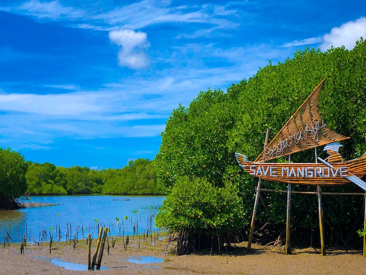 Tropical Snorkeling and Mangrove Cruise