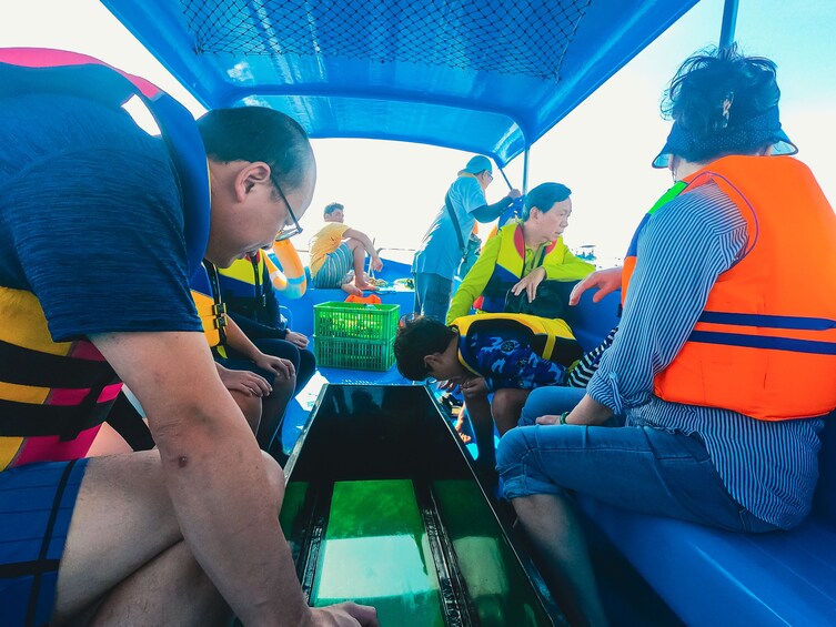 Tropical Snorkeling and Mangrove Cruise