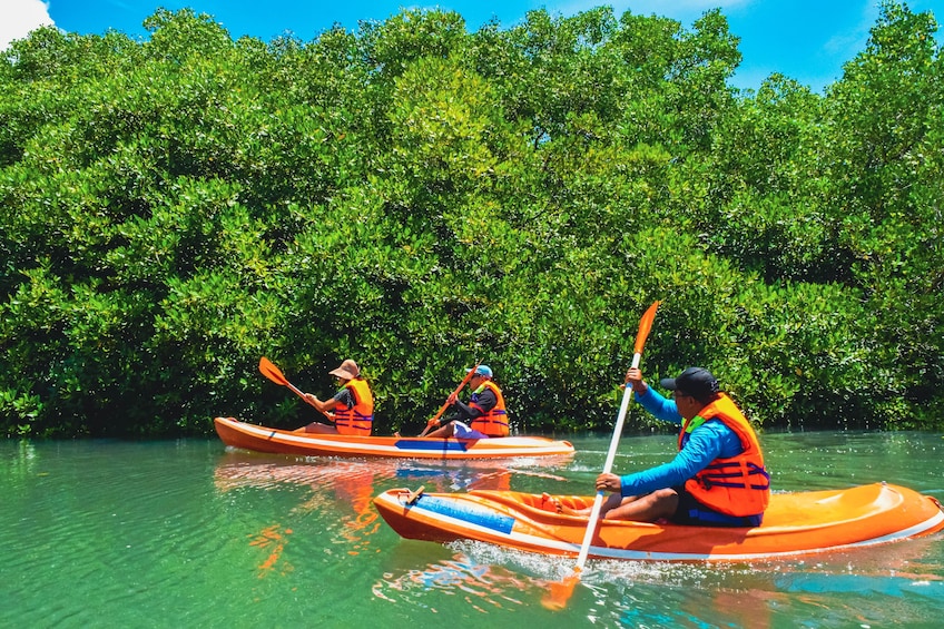 Mangrove Canoeing Package