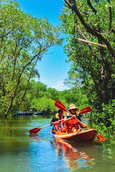 Mangrove Canoeing Package