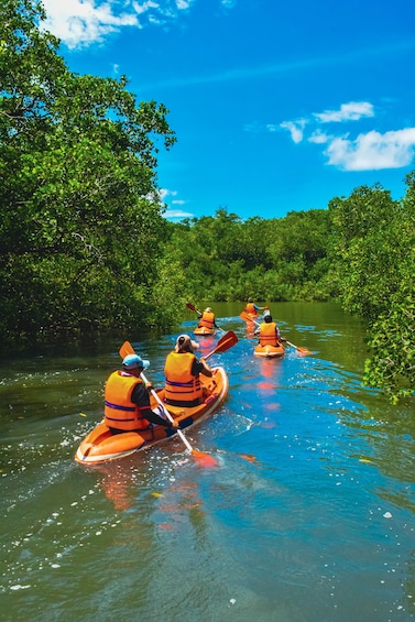 Mangrove Canoeing Package