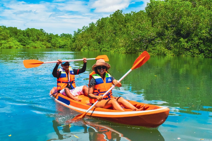 Mangrove Canoeing Package