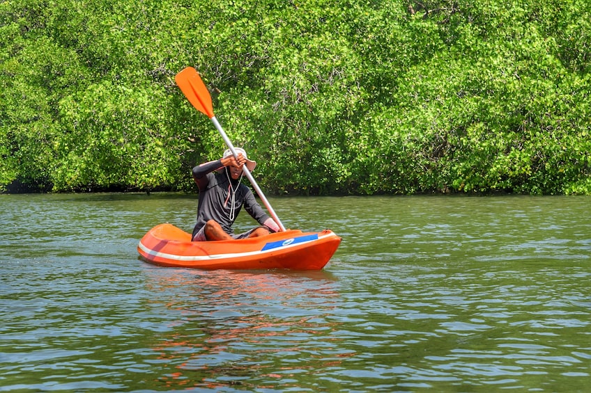 Mangrove Canoeing Package
