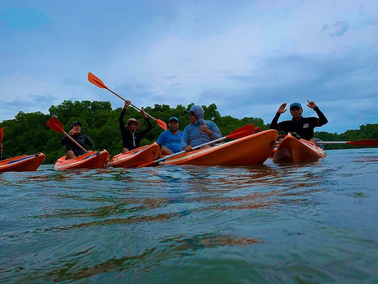 Mangrove Canoeing Package