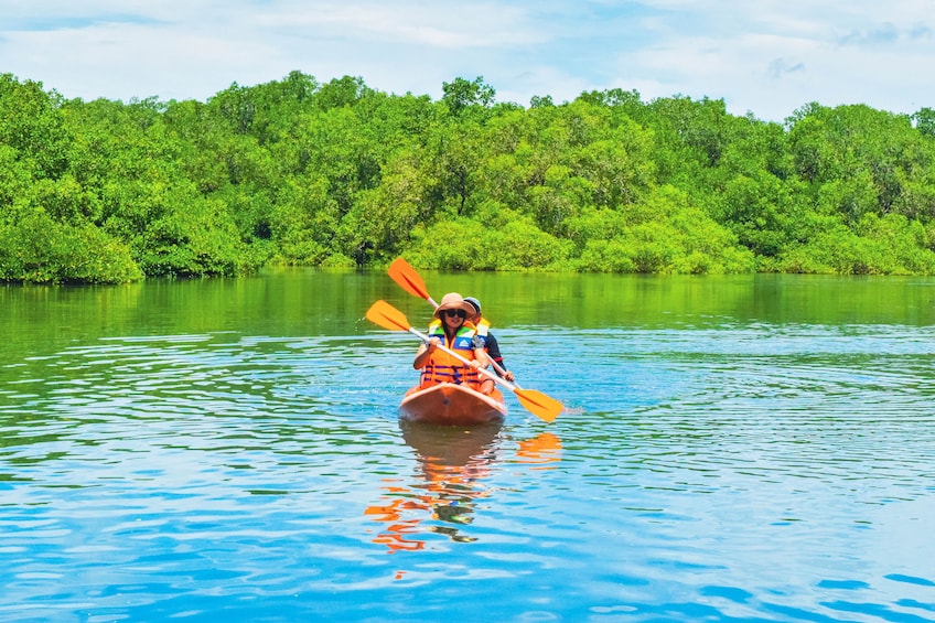 Mangrove Canoeing Package