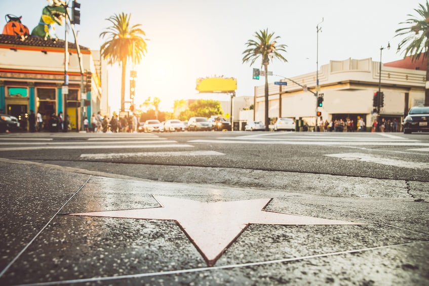 TMZ Celebrity Tour plus 1 Day Hop-on Hop-off Los Angeles Bus Tour