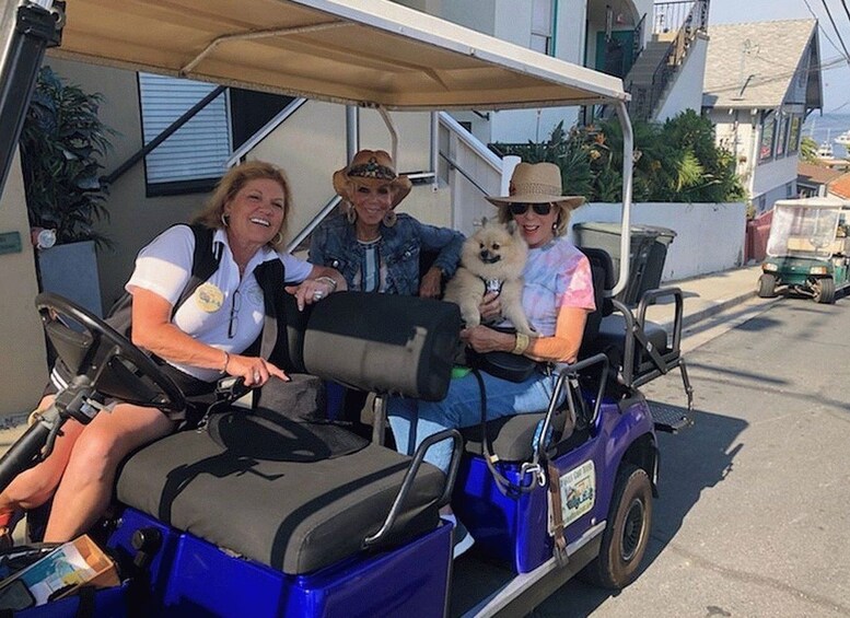 Picture 3 for Activity Catalina Island: Private Guided Golf Cart Tour of Avalon