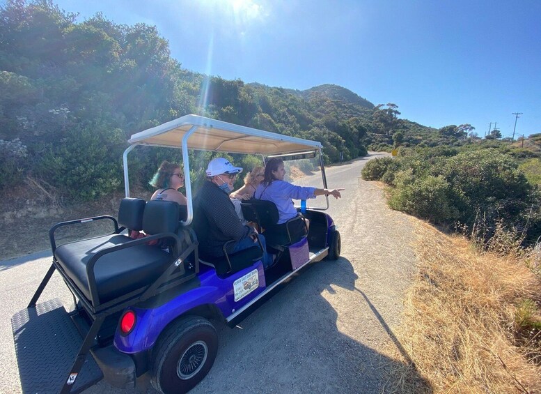 Picture 2 for Activity Catalina Island: Private Guided Golf Cart Tour of Avalon