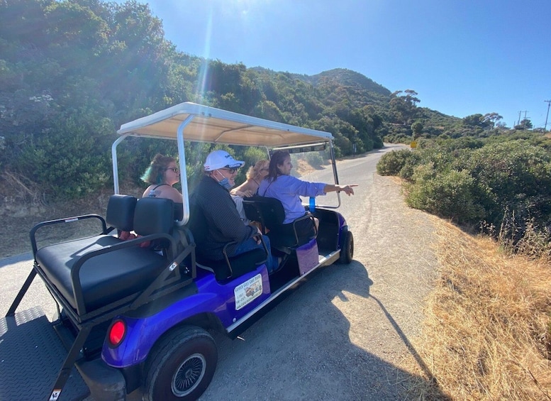 Picture 1 for Activity Catalina Island: Private Guided Golf Cart Tour of Avalon