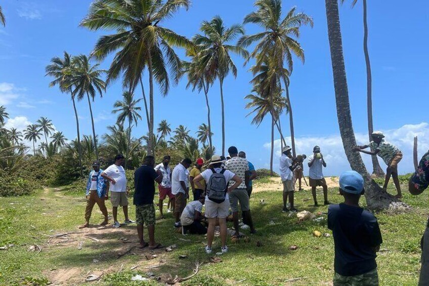 Have a coconut water on arrival