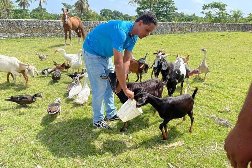 "PRIVATE"- Wild Dominican Sancocho Cooking Adventure!