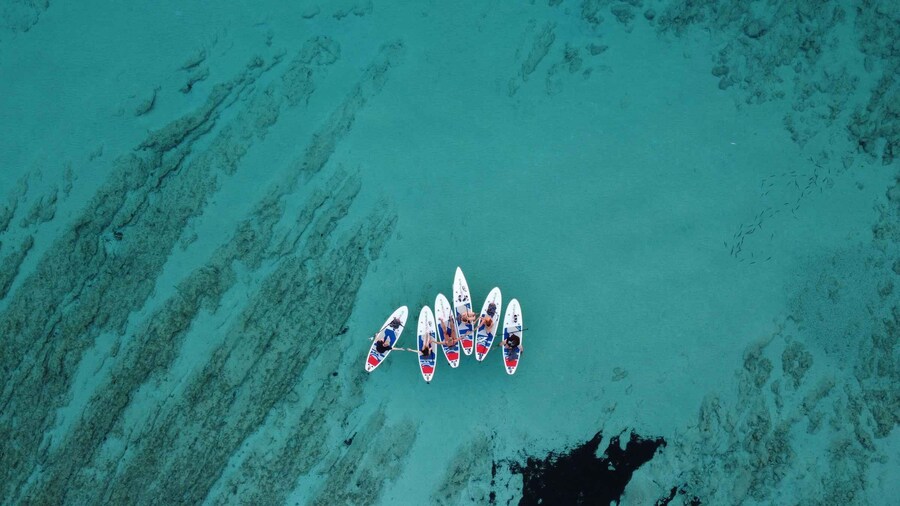 From Zadar: Full Day Dugi Otok Guided Paddle Board Tour