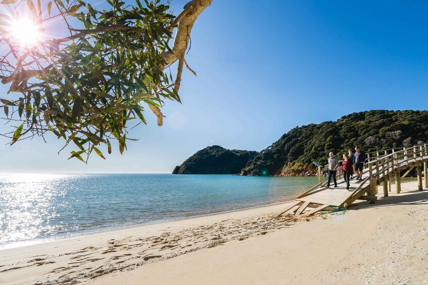 Picture 2 for Activity Abel Tasman National Park: Helicopter Flight with landing