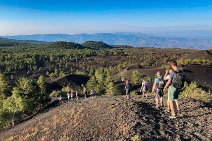 Private and Guided Tour on Etna with Wine Tasting included