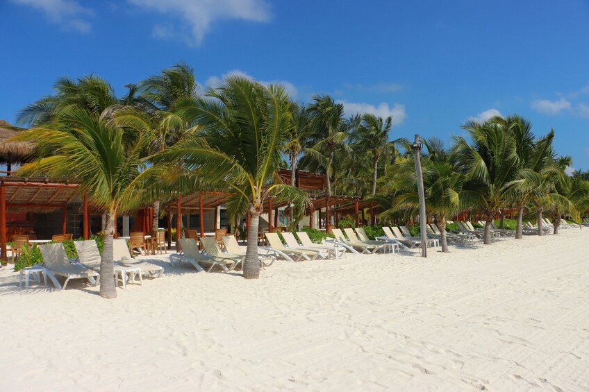 Sunset Catamaran Cocktail & Beach Club with Transportation In Riviera Maya