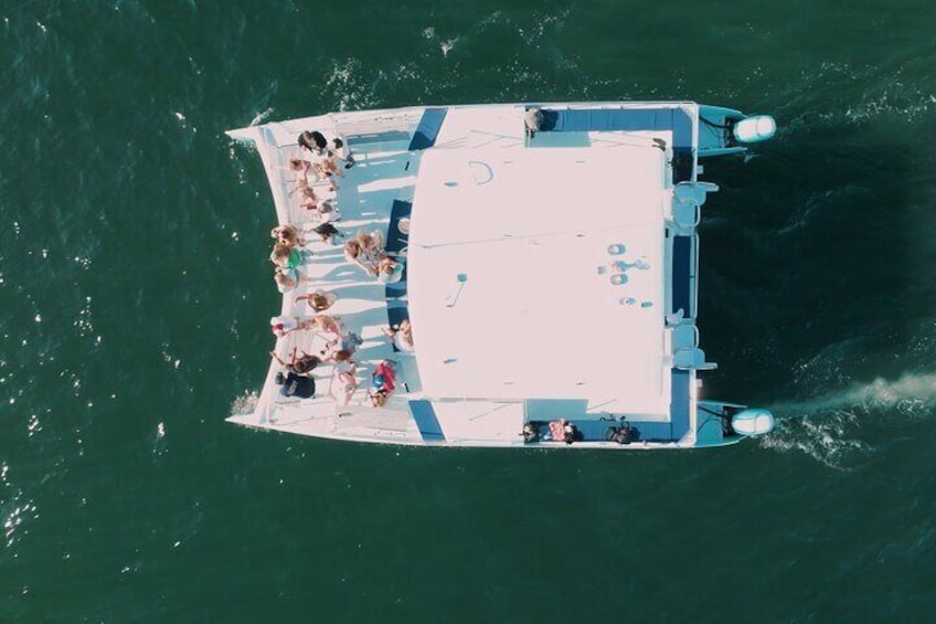 Mission Bay Cruise on a Catamaran Yacht! 