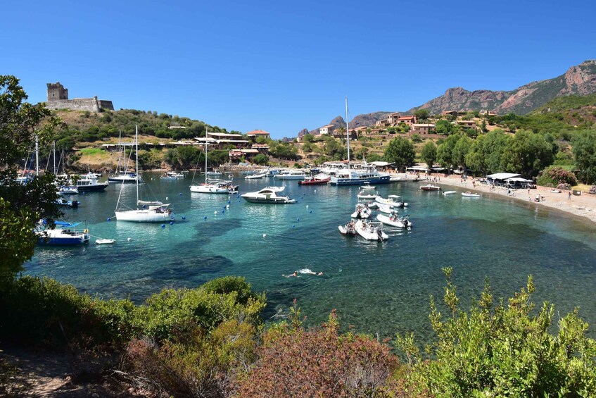 Picture 3 for Activity Porto: Scandola Nature Reserve and Creeks of Piana Boat Tour