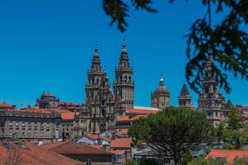 Santiago de Compostela Full-Day Tour From Porto