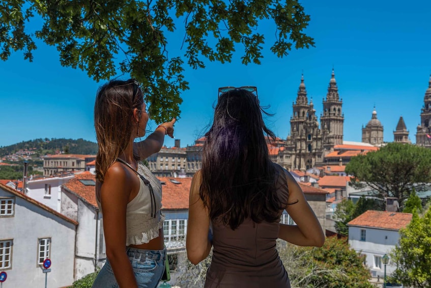 Picture 5 for Activity Santiago de Compostela Full-Day Tour From Porto