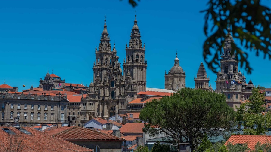 Santiago de Compostela Full-Day Tour From Porto