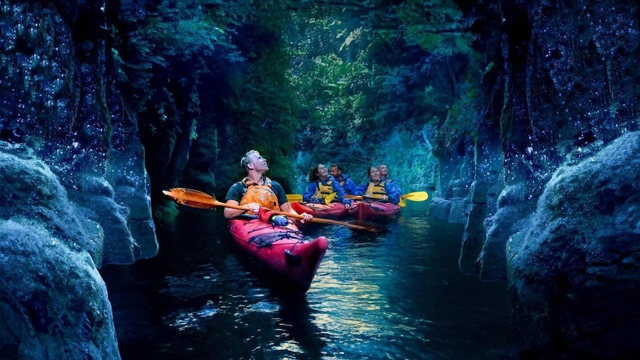 Tauranga: Evening Glowworm Kayak Tour